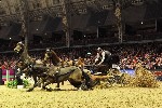 Extreme - 00815